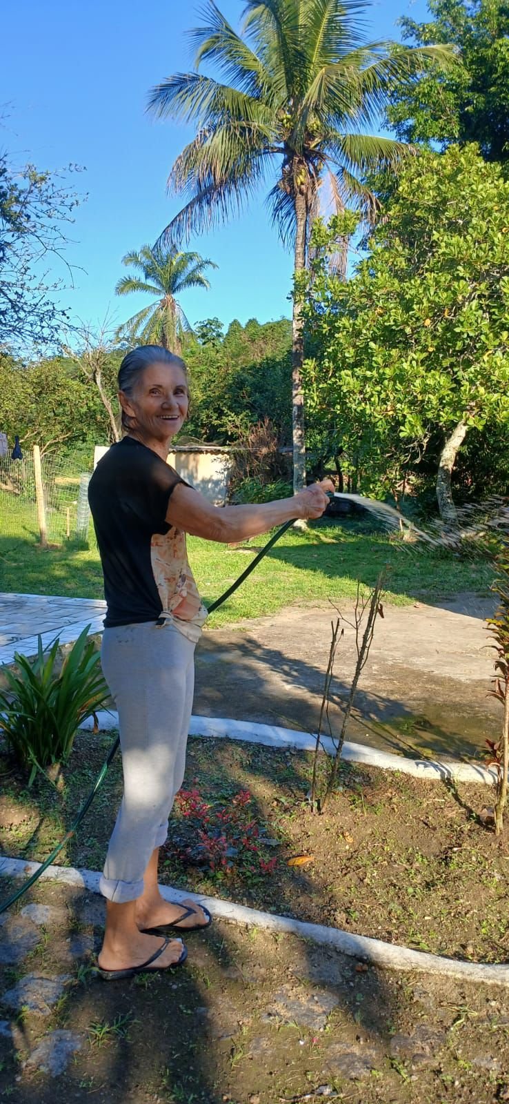 Idoso cuidando do jardim