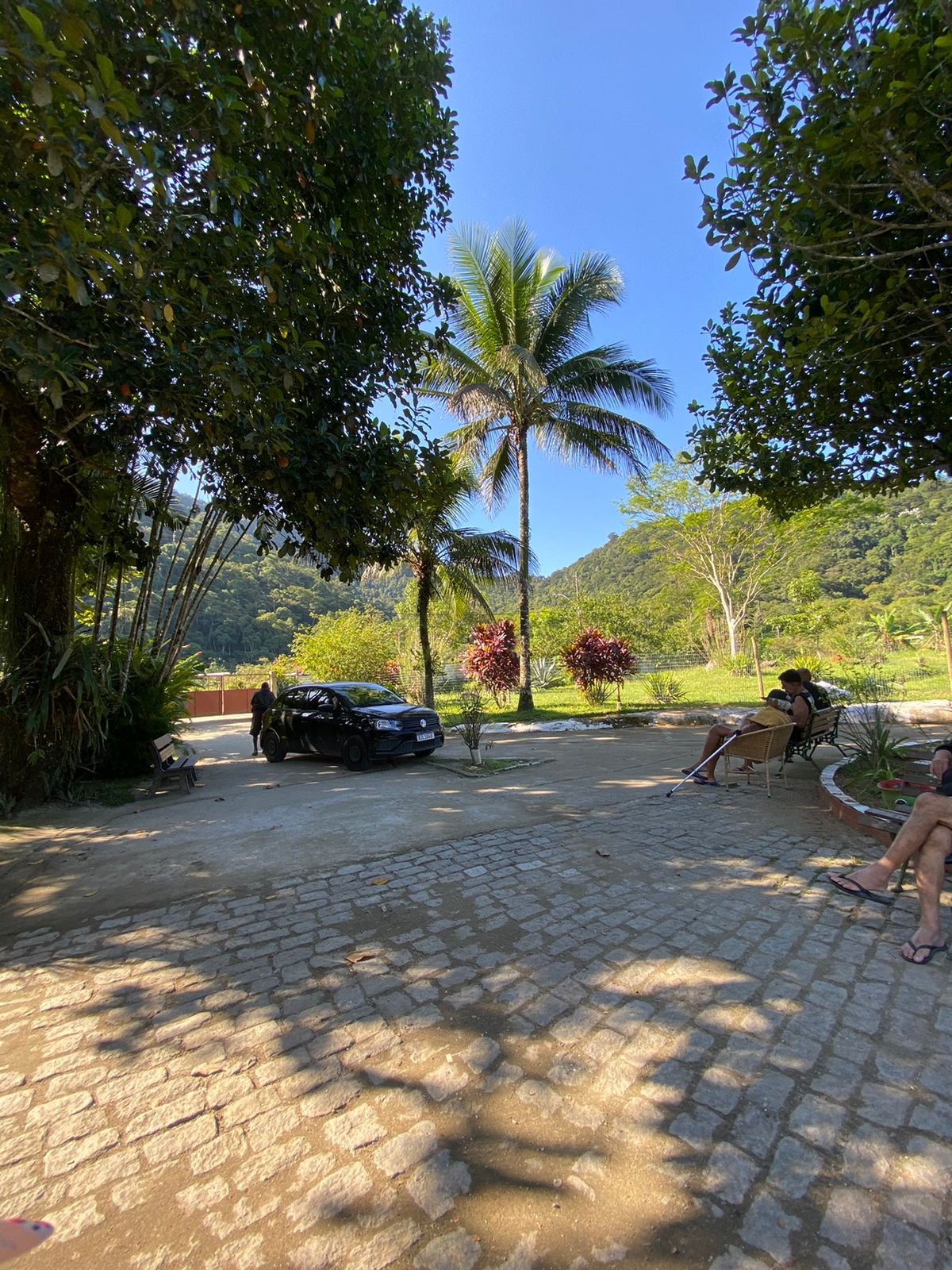 Quintal gramado